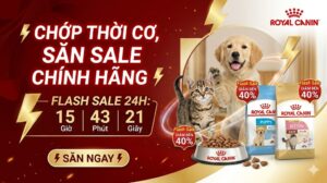 Flash sale