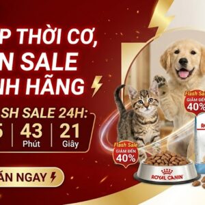 Flash sale